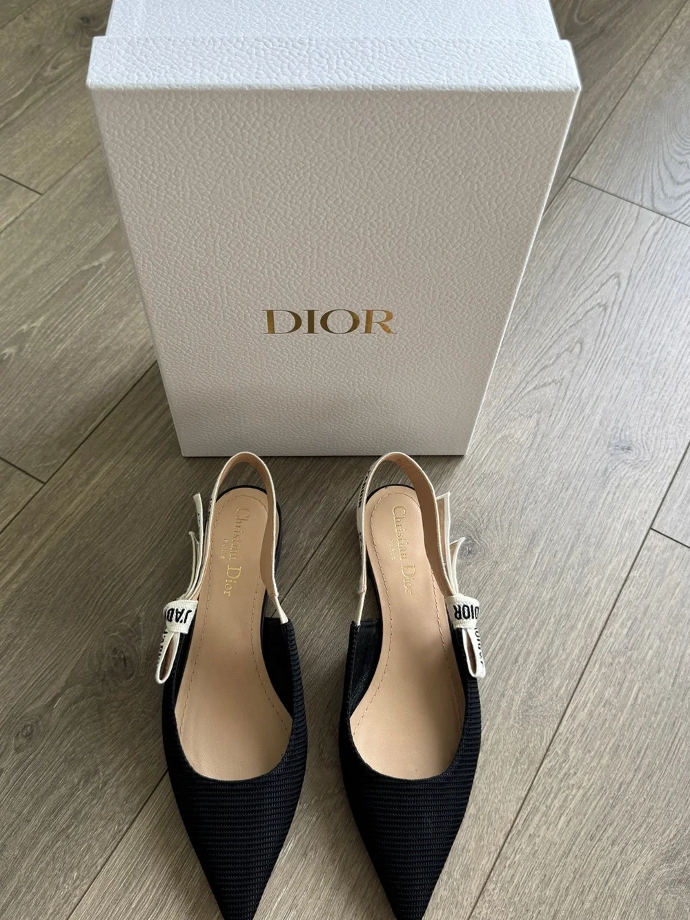 Dior Black Pointed Slingback Flats with Ivory Logo Strap. J'Adior Slingback Flat - Picture 4 of 7